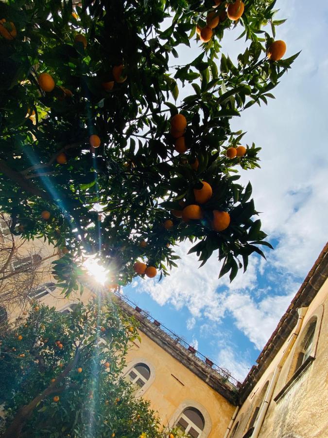 Il Chiostro Frühstückspension Massa Lubrense